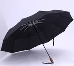 Leodauknow - Automatic Travel Umbrella, Windproof, Auto open & close