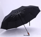 Leodauknow - Automatic Travel Umbrella, Windproof, Auto open & close