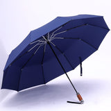 Leodauknow - Automatic Travel Umbrella, Windproof, Auto open & close