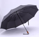 Leodauknow - Automatic Travel Umbrella, Windproof, Auto open & close